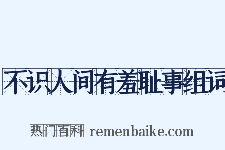 不识人间有羞耻事组词是什么意思的图片